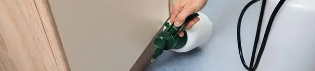 Bed bug exterminator treating baseboards and cracks with targeted spray in Stockton, CA