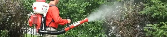 Mosquito control technician fogging shrubs and landscaping for mosquito treatment in Stockton, CA