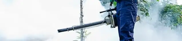 Pest control technician fogging an outdoor area for insect control in Stockton, CA