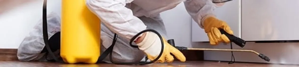 Roach exterminator treating cracks and crevices along kitchen baseboards in Stockton, CA