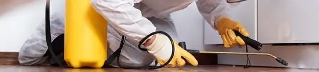 Roach exterminator treating cracks and crevices along kitchen baseboards in Stockton, CA