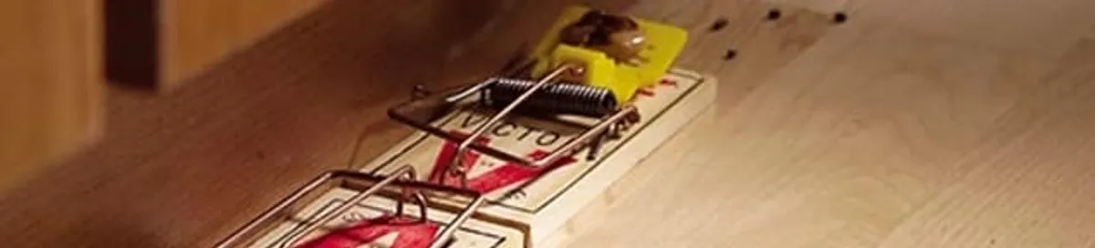 Rodent trap set indoors for rodent control and prevention in Stockton, CA
